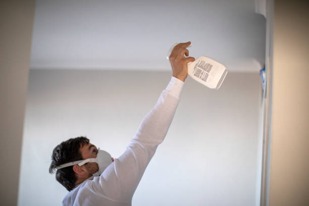 Best Black Mold Removal  in Stockton, IL
