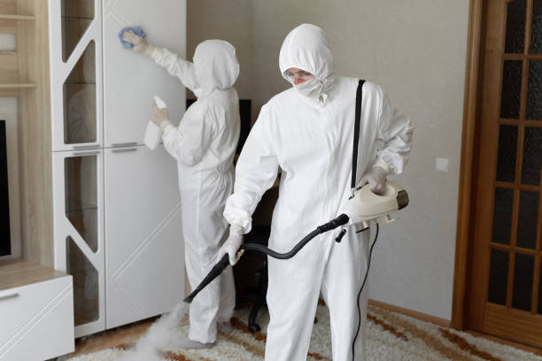Best Commercial Mold Removal  in Stockton, IL